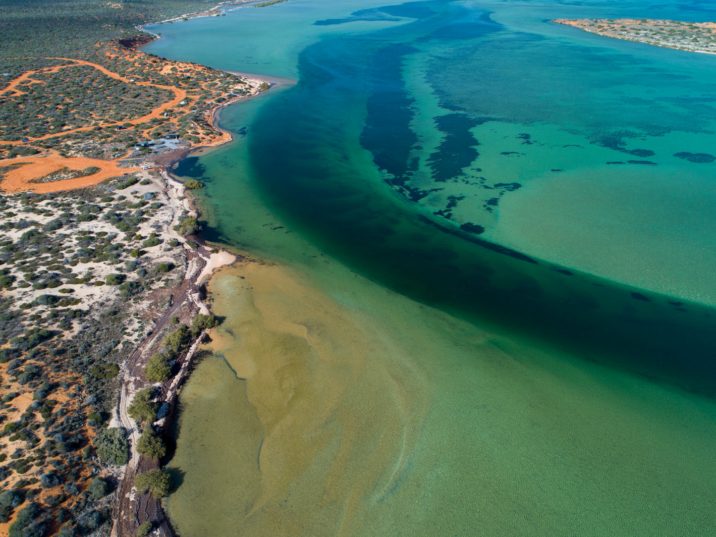 IA0182 - SHARK BAY