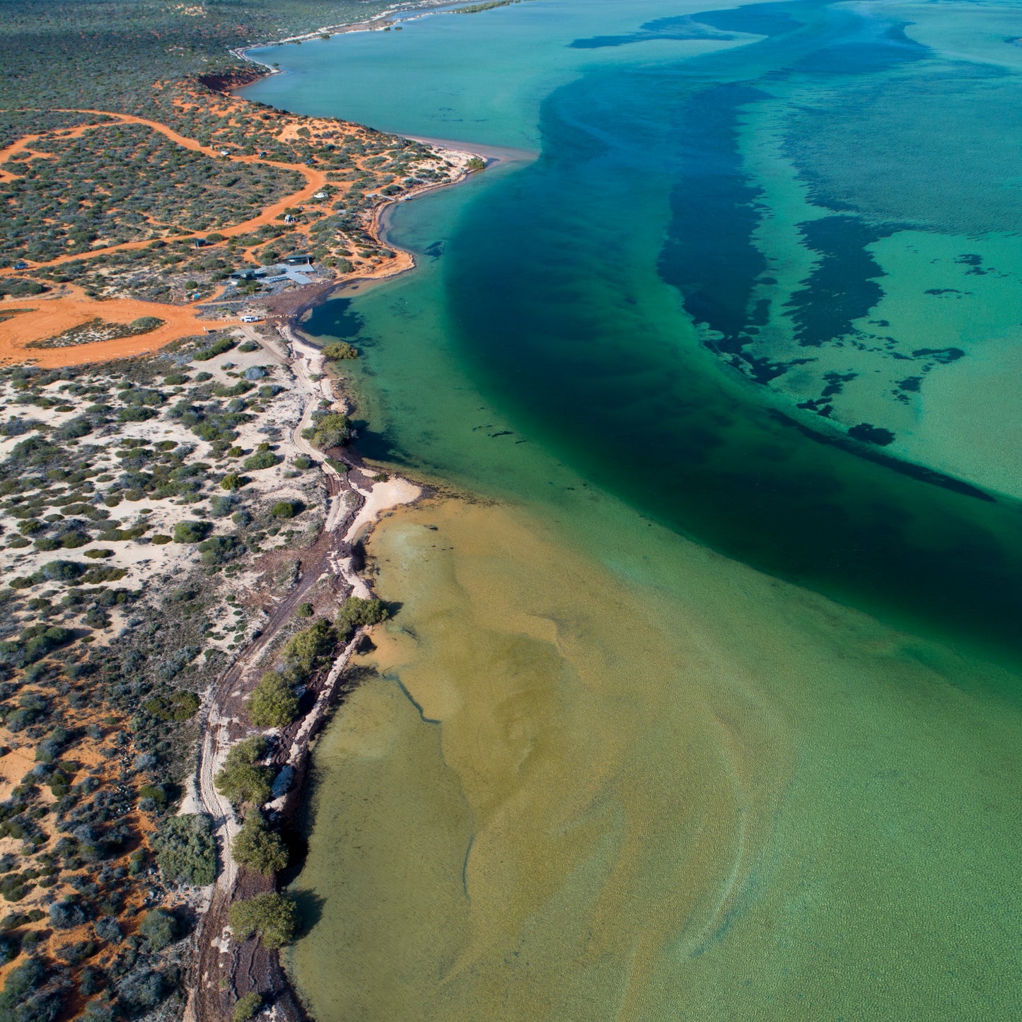 IA0182 - SHARK BAY