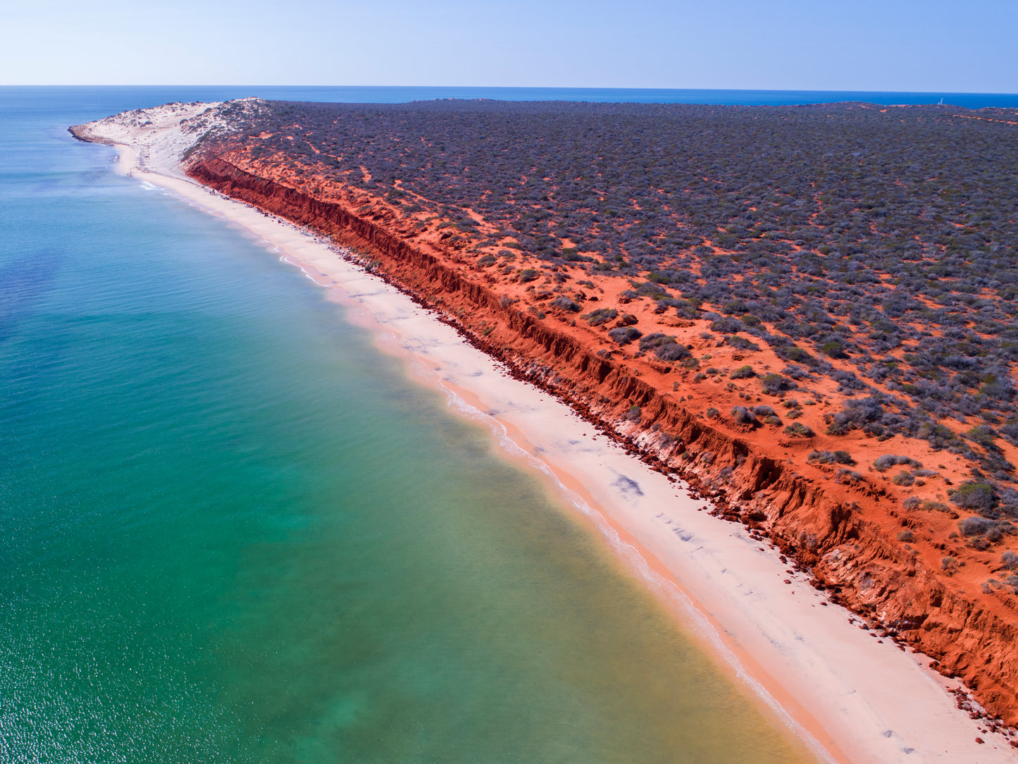 IA0189 - SHARK BAY