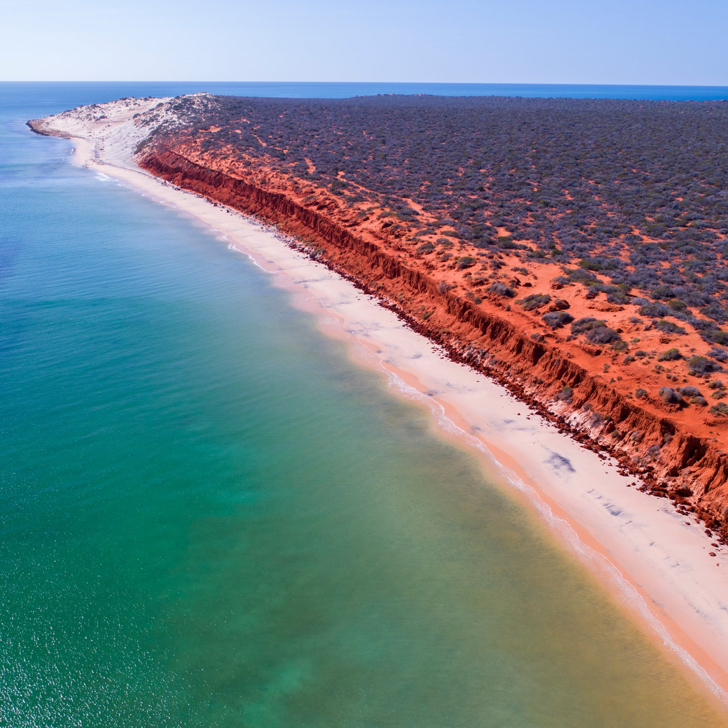 IA0189 - SHARK BAY