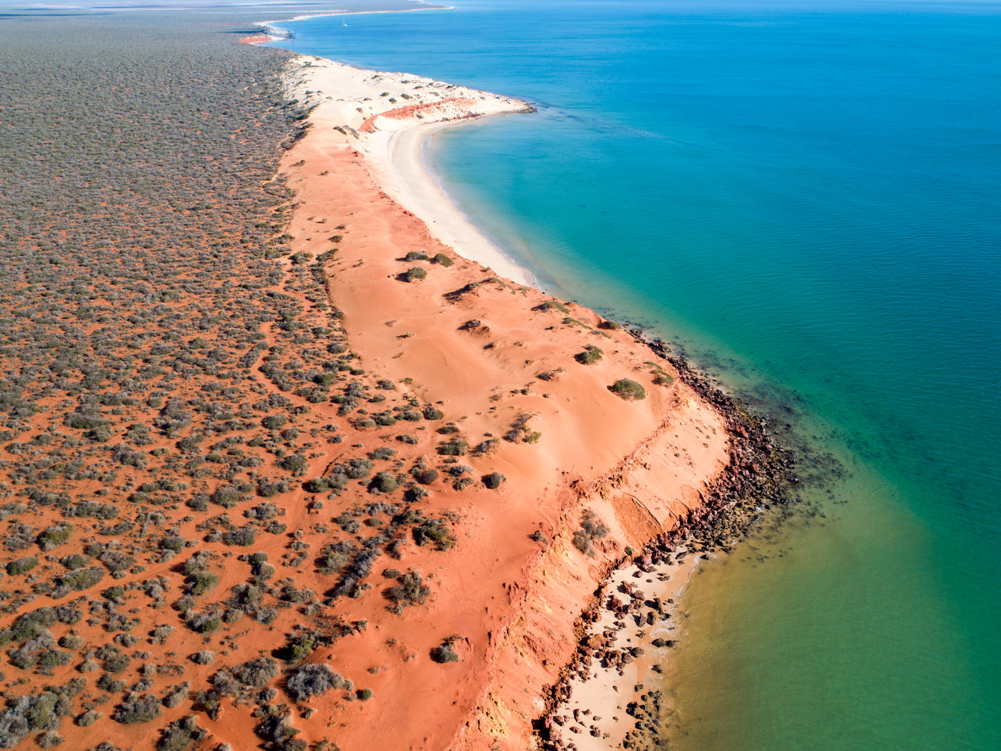 IA0203 - SHARK BAY