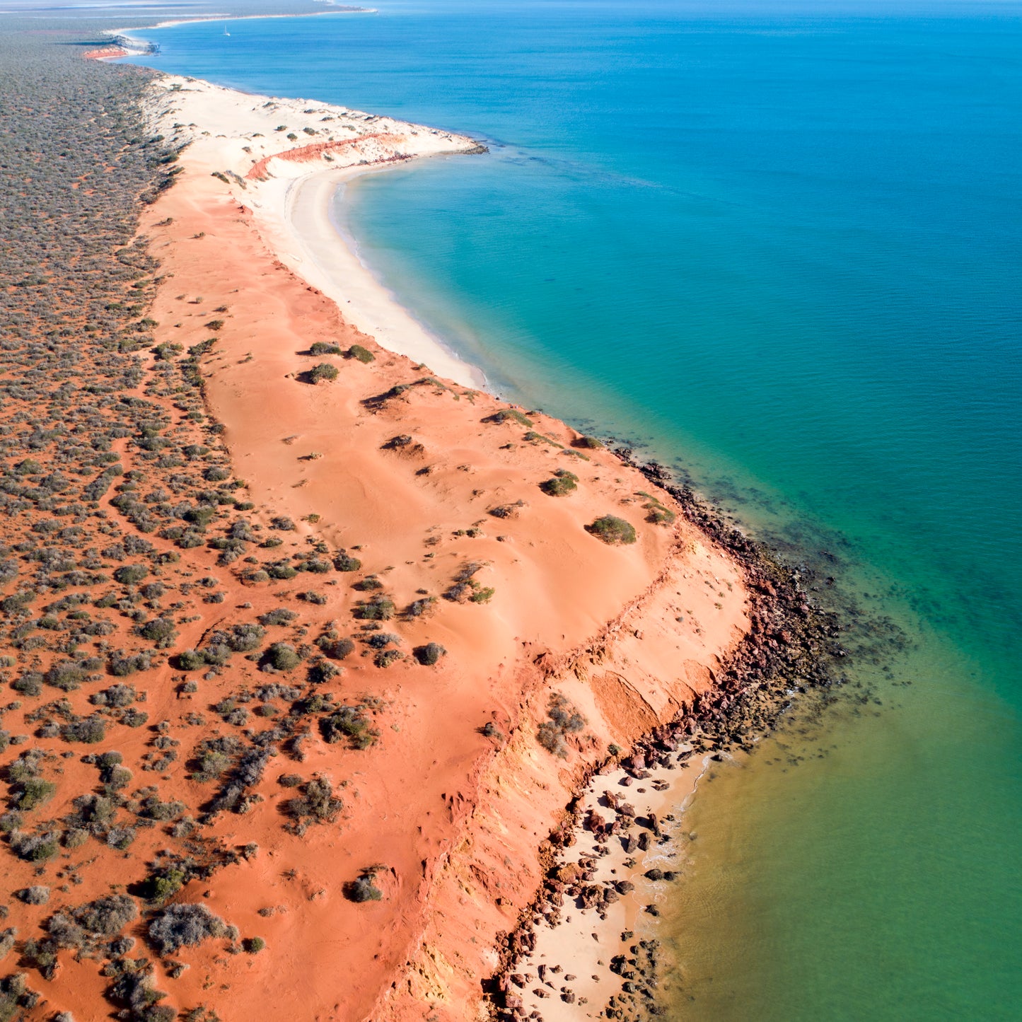 IA0203 - SHARK BAY