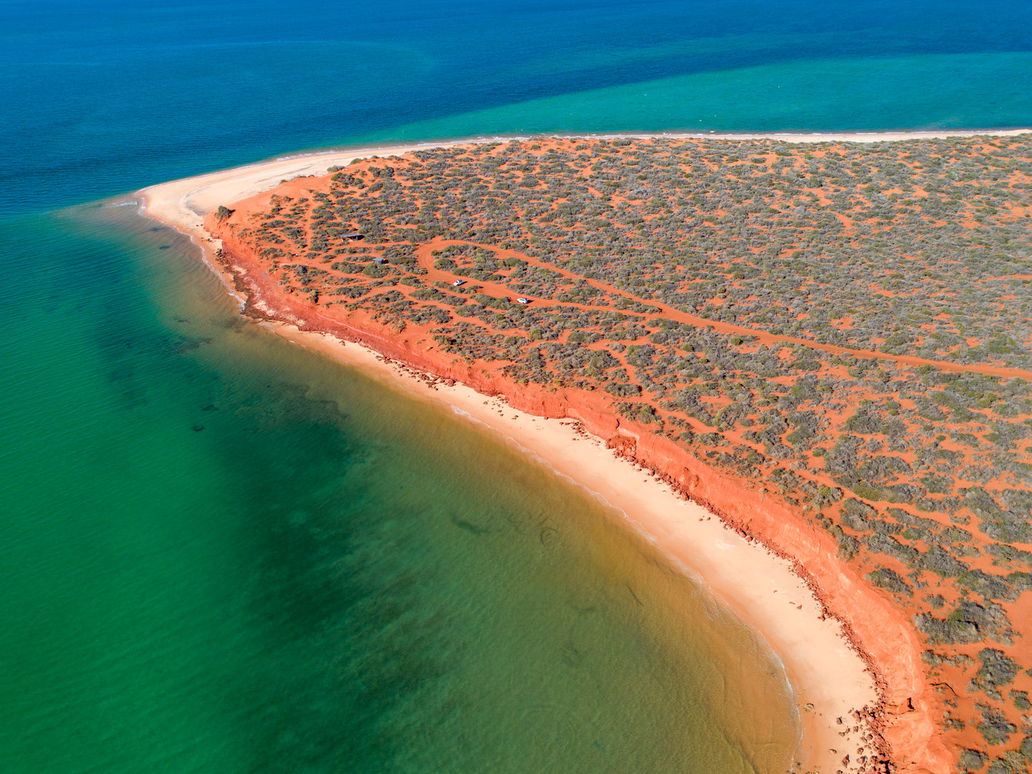 IA0204 - SHARK BAY