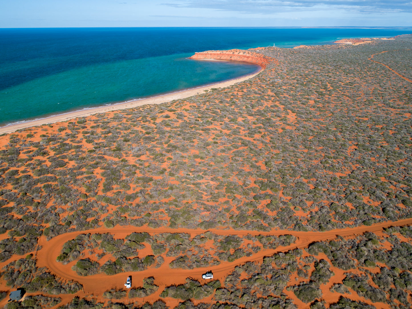 IA0205 - SHARK BAY