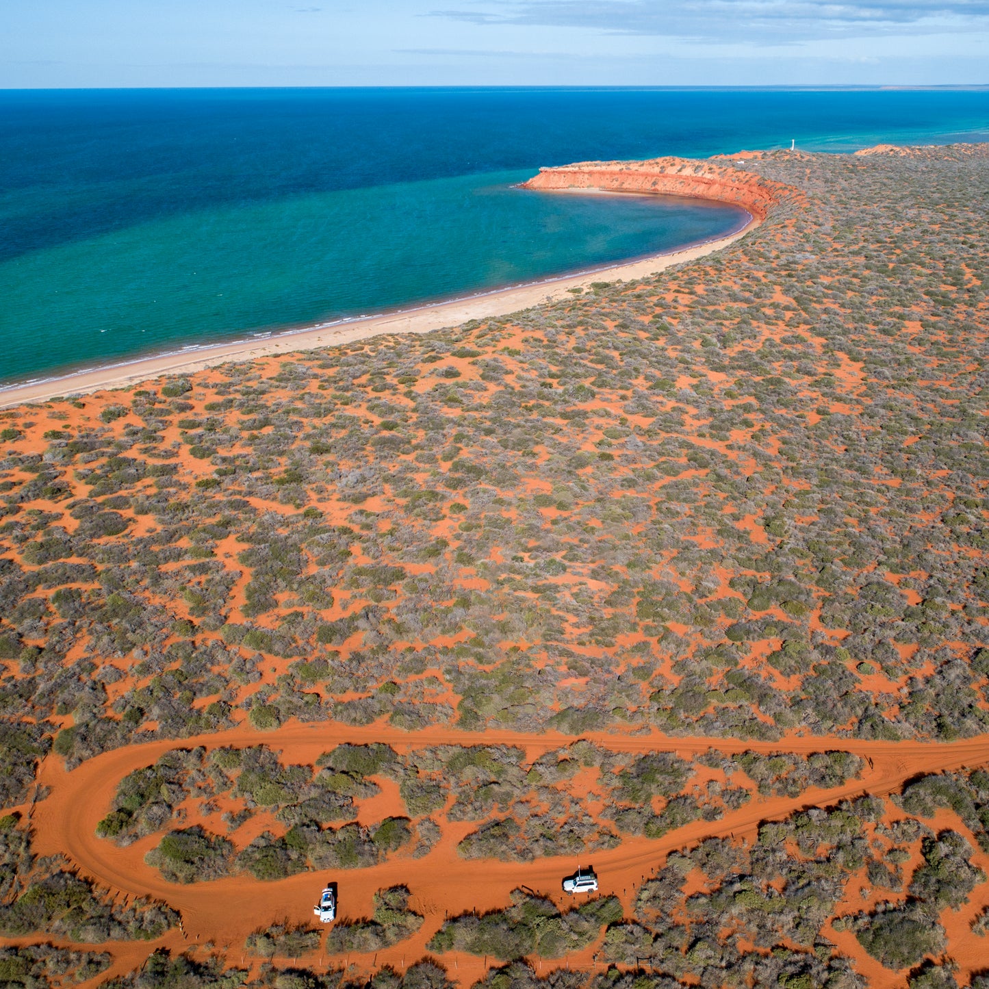 IA0205 - SHARK BAY