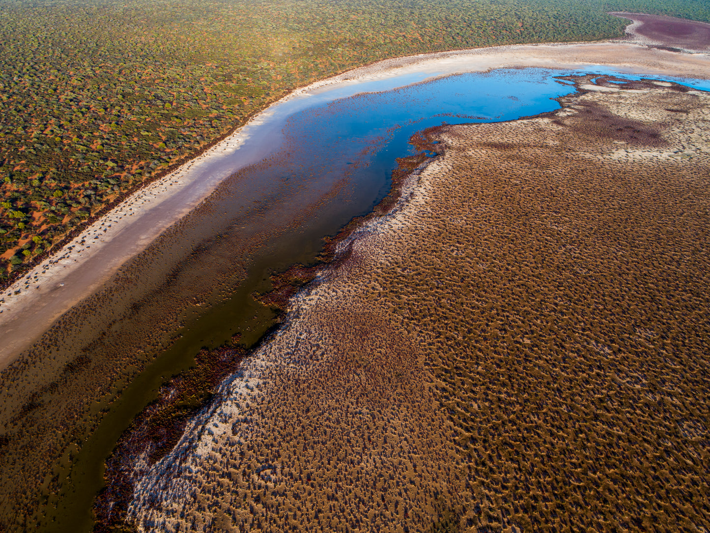 IA0223 - SHARK BAY