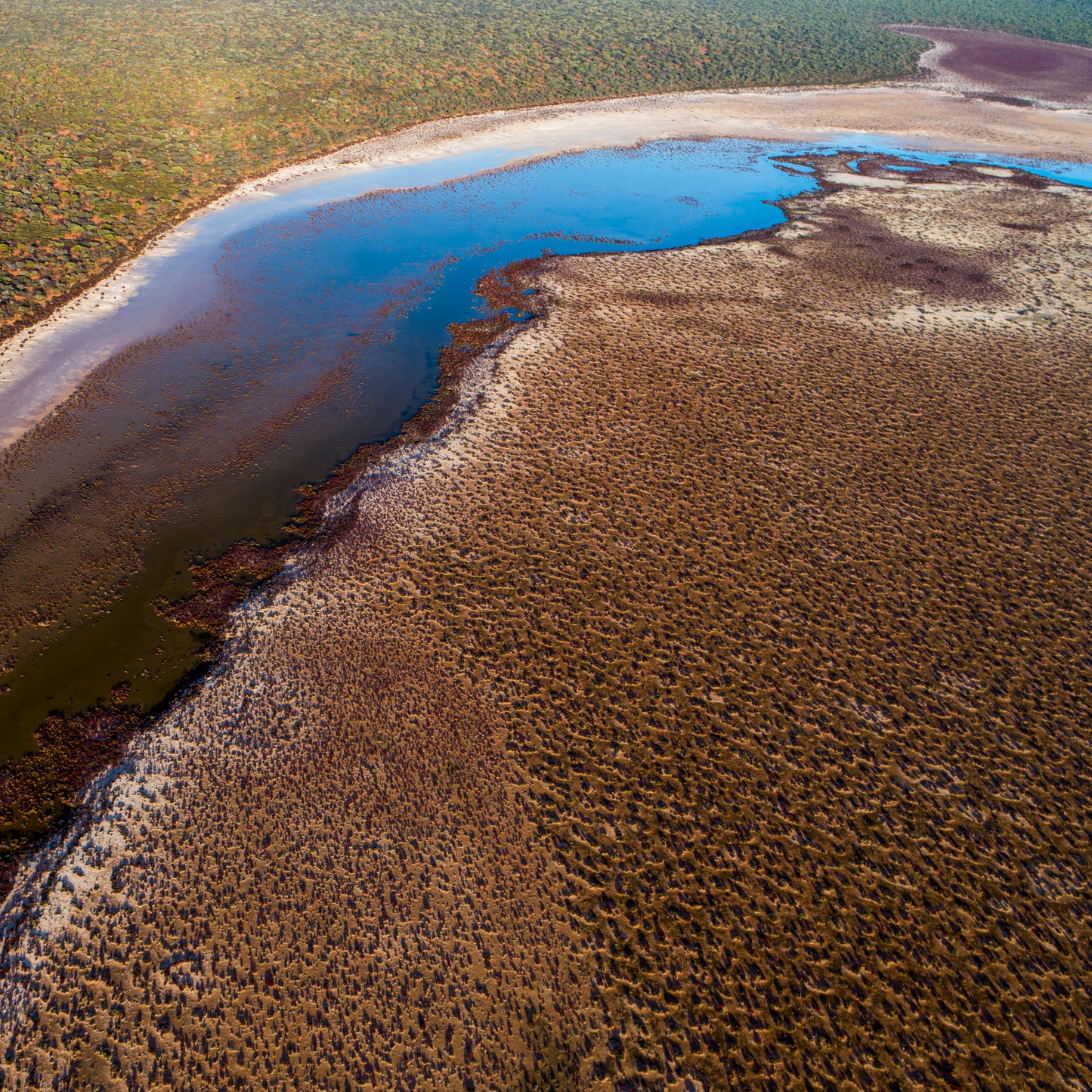 IA0223 - SHARK BAY