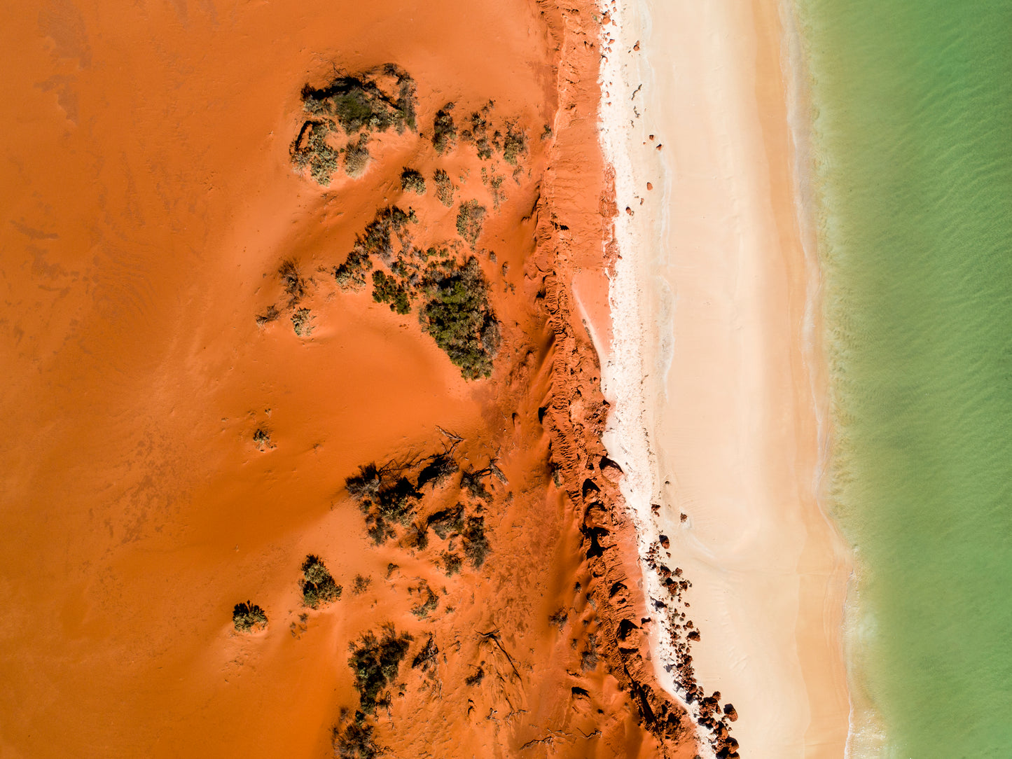 IA0225 - SHARK BAY