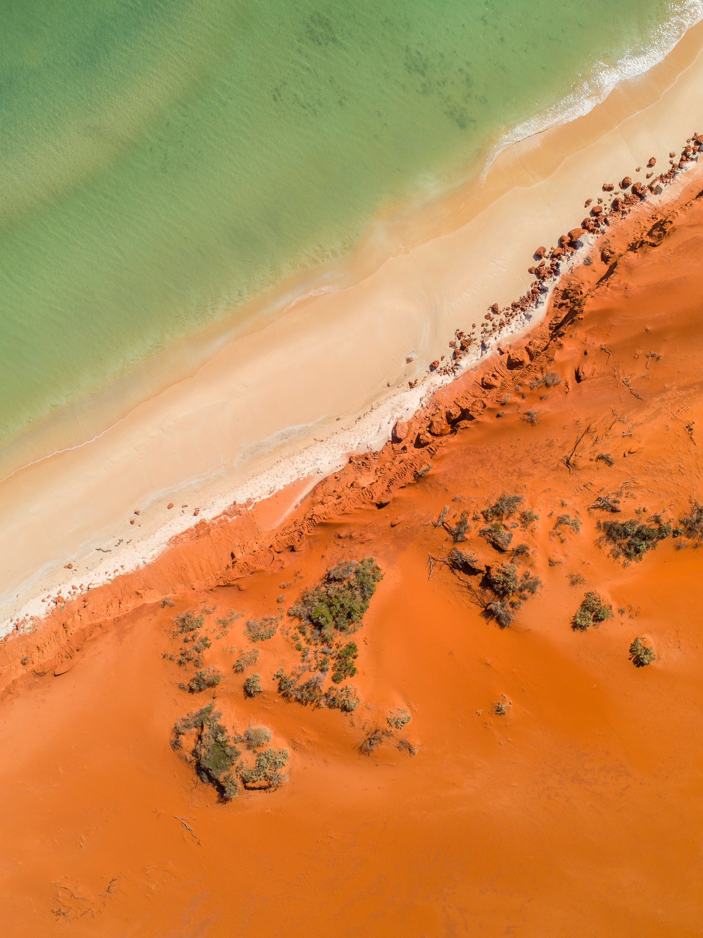 IA0226 - SHARK BAY