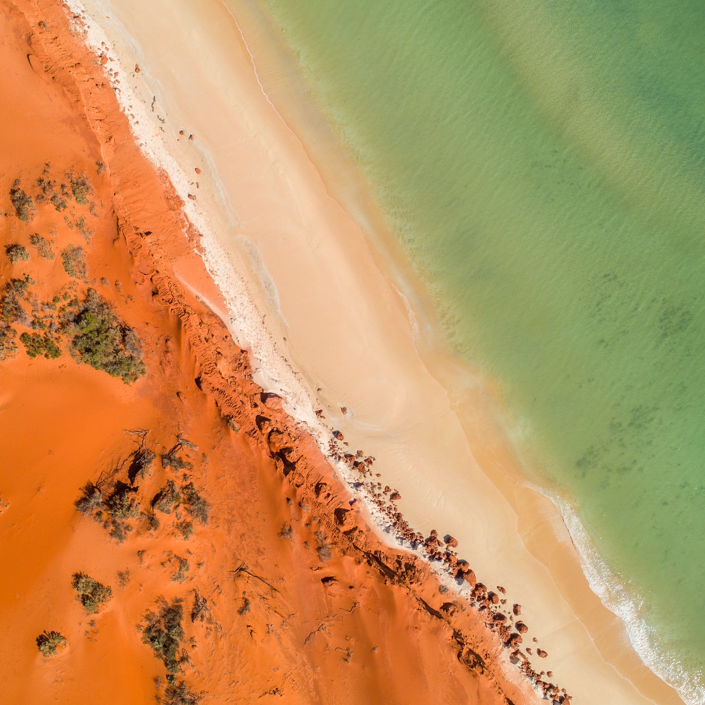 IA0226 - SHARK BAY