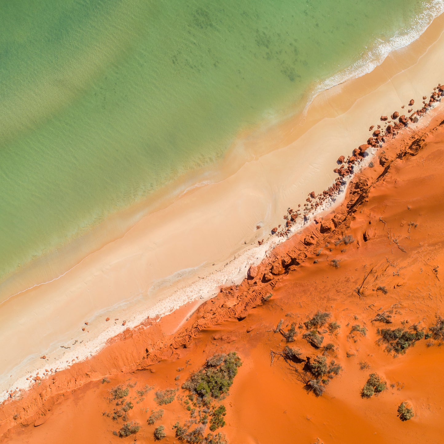 IA0226 - SHARK BAY