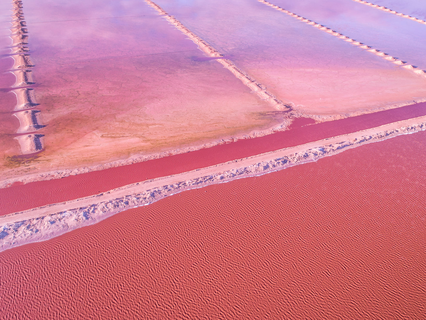 IA0498 - PINK LAKE - HUTT LAGOON