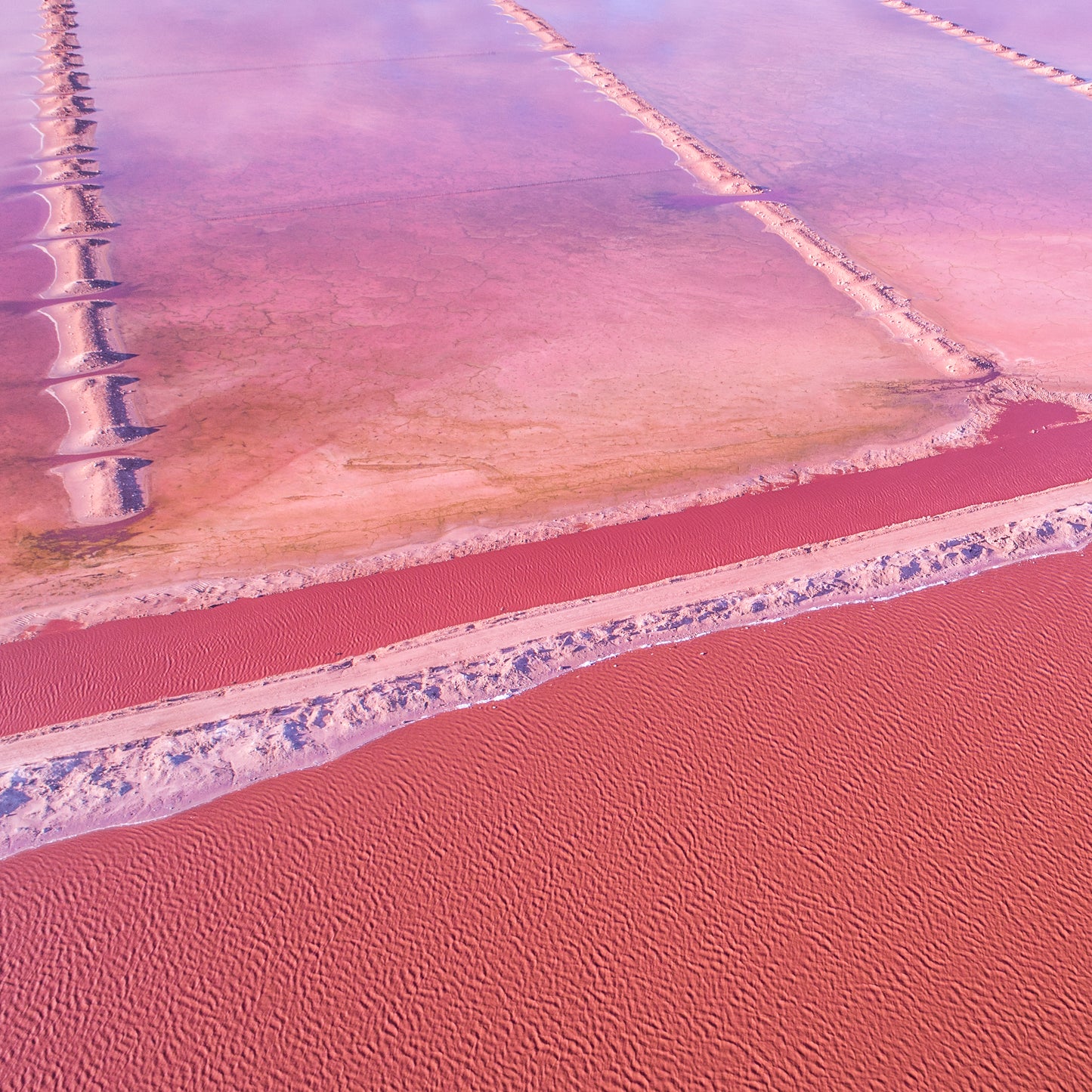 IA0498 - PINK LAKE - HUTT LAGOON